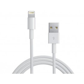 Apple Lightning to USB 2m White MD819