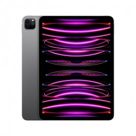 Apple iPad Pro 11" 2022 256GB Wi-Fi Space Gray