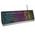 Gaming Keyboard Genesis Rhod 300 RGB Black US