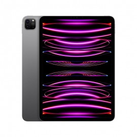 Apple iPad Pro 11" 2022 128GB Wi-Fi+5G Space Gray